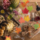 Artificial Autumn Maple Leaves (Pack of 100)